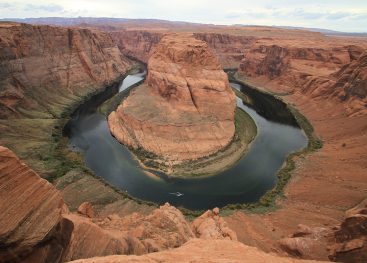 Poti. Vsak dan. Nove.