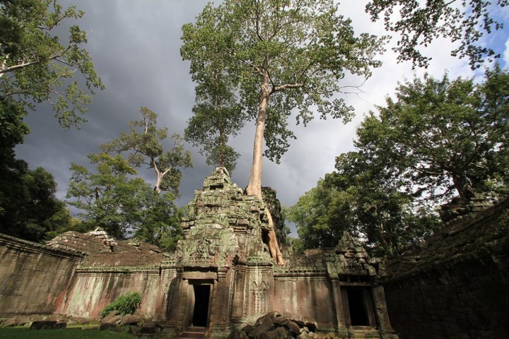 Poti. Vsak dan. Nove.