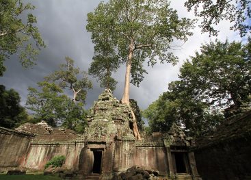 Poti. Vsak dan. Nove.