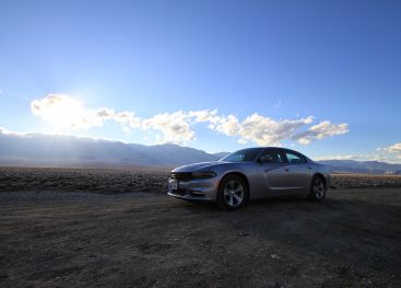 Poti. Vsak dan. Nove.