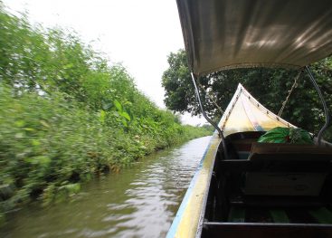 Poti. Vsak dan. Nove.