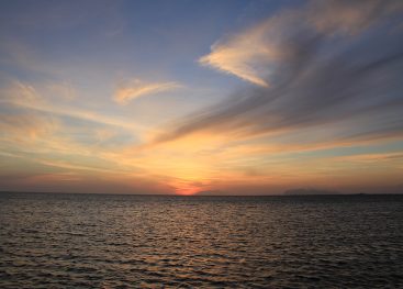 Poti. Vsak dan. Nove.