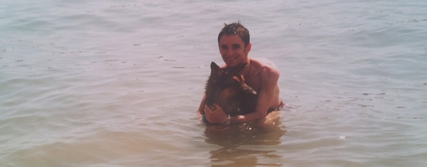 Shodi in kupil ti bom psa