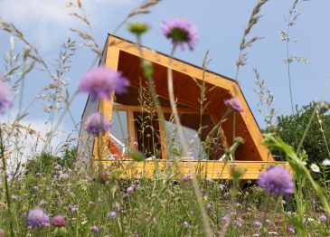 Panoramski razgled kar iz postelje