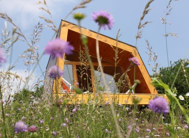 Panoramski razgled kar iz postelje