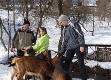 zame-so-koze-kraljice