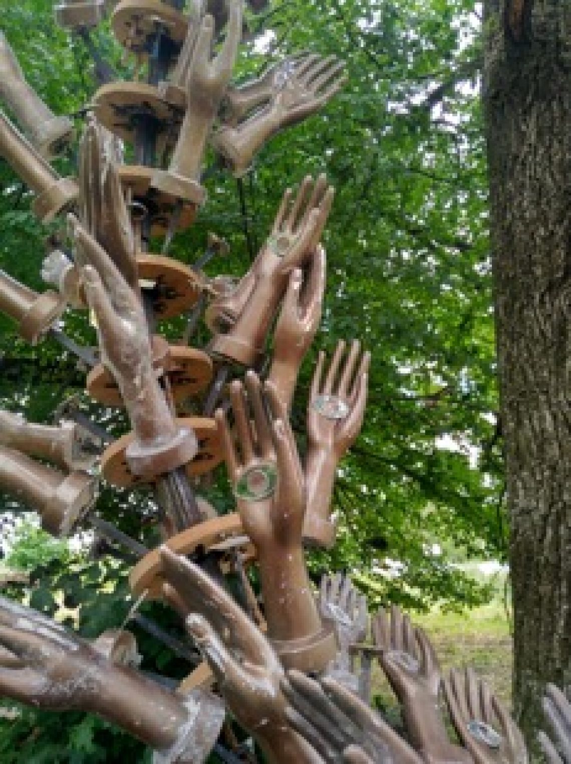 Očiščevalna moč ognja