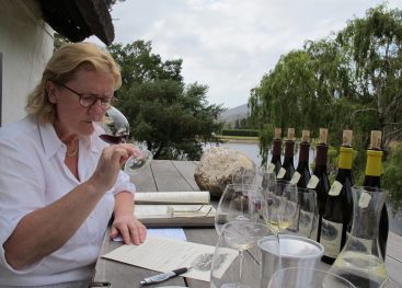 Mira Šemić: In vino veritas – zaupam vam vso resnico o vinu