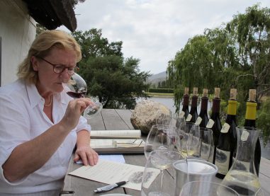 Mira Šemić: In vino veritas – zaupam vam vso resnico o vinu