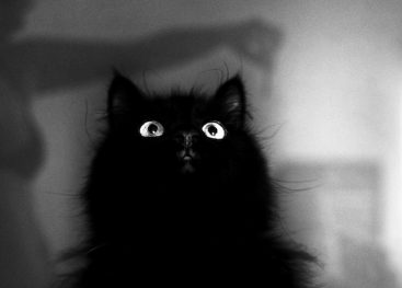 Po padcu drugačen pogled na življenje