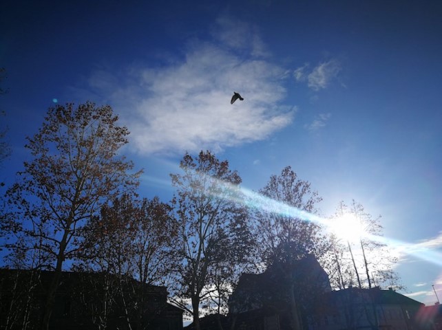 Iskrena s seboj praznim kovčke