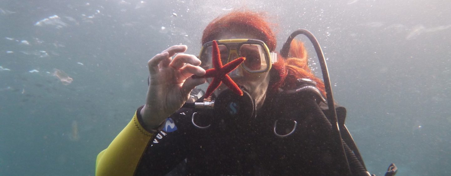 Jasminka: VSE JE DOBRO – za nekaj