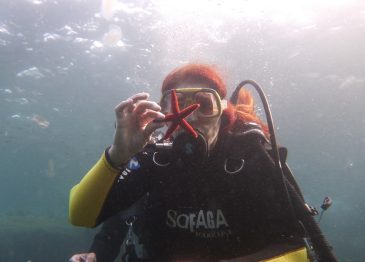 Jasminka: vse je dobro – za nekaj