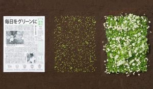 Kompostirani časopis za Navdihni me by Insights d.o.o.