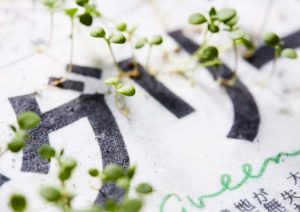 Kompostirani časopis za Navdihni me by Insights d.o.o.