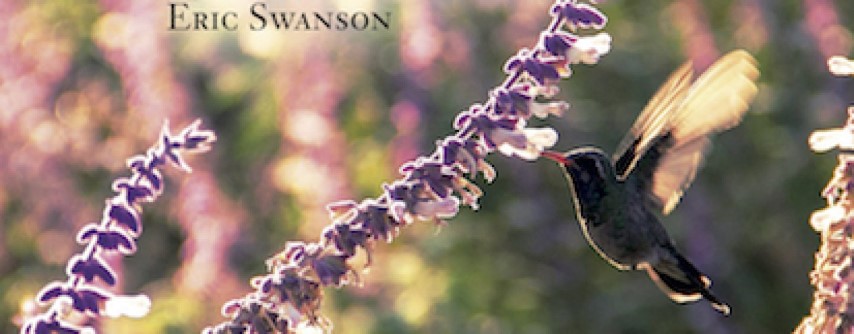 Radost življenja – ključ do skrivnosti in znanosti sreče