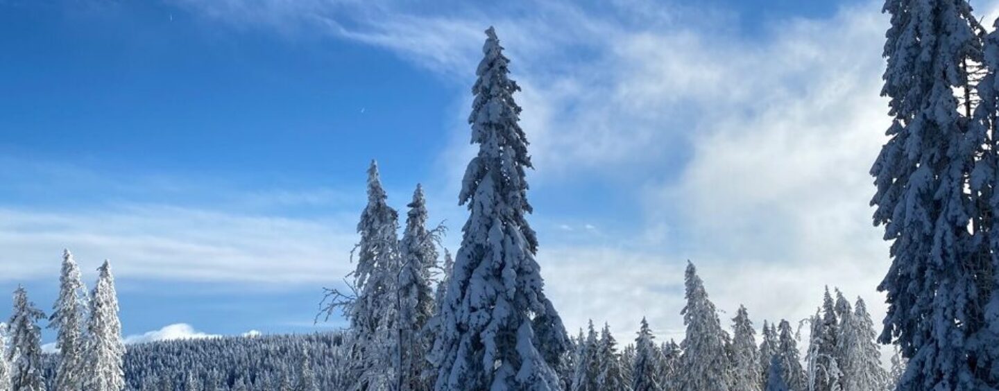 Človeštvo bi izbrisali v treh dneh
