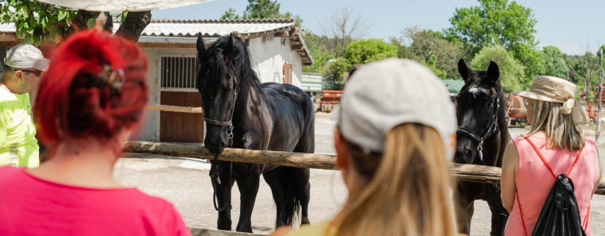 Beseda ni konj? Pač. Lahko se spremenimo