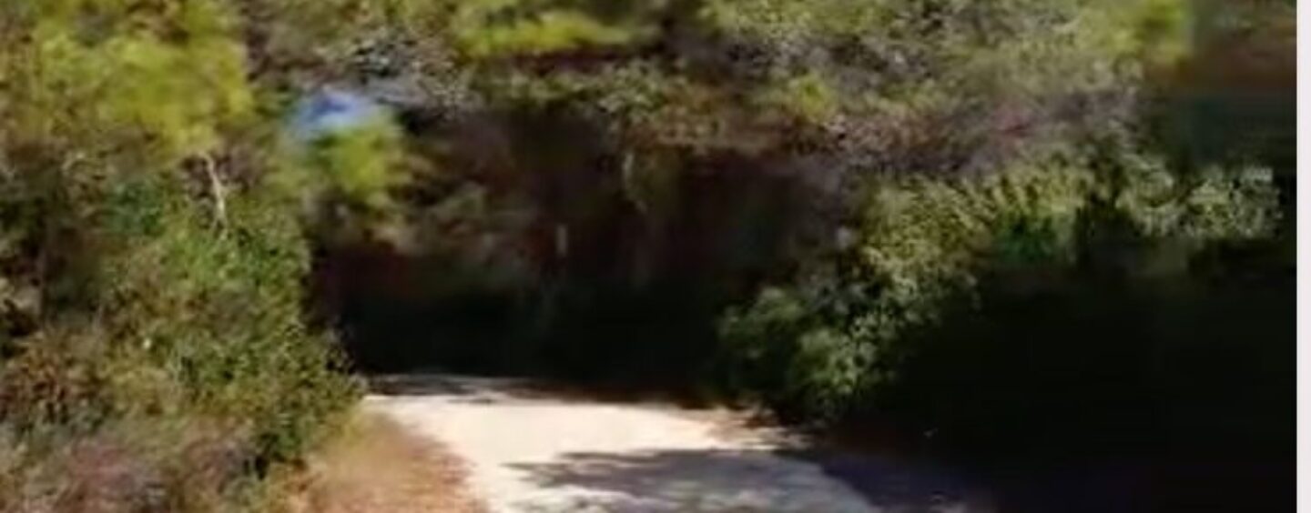 Ste podpisali pakt s seboj?