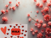 Sporočilo zahvale in hvaležnosti. Ker si, ker ste 🙌🏻