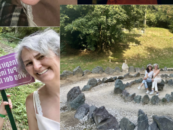 OD KAČE DO KONJA LETO PREOBRAZBE, INTUICIJE IN USTVARJALNEGA TOKA