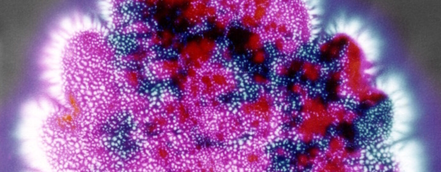 Spoznaj samega sebe …