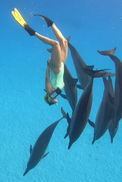 When the Dolphins Called