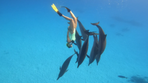 Sara dancing with the dolphins retreat